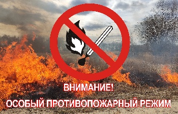 В Челябинской области введен особый противопожарный режим